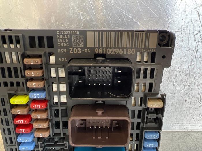 Fuse box Peugeot 5008 9810296180 DELPHI Mettler BV