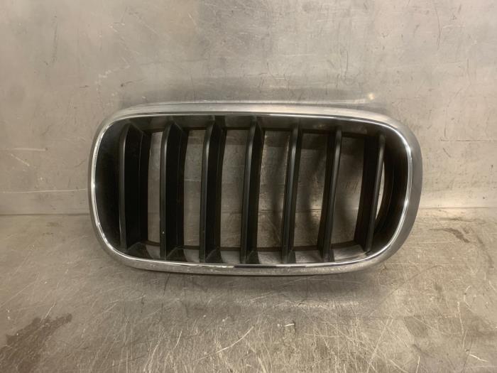 Używane Grill BMW X6 Cena € 30,00 Procedura marży oferowane przez Mettler BV