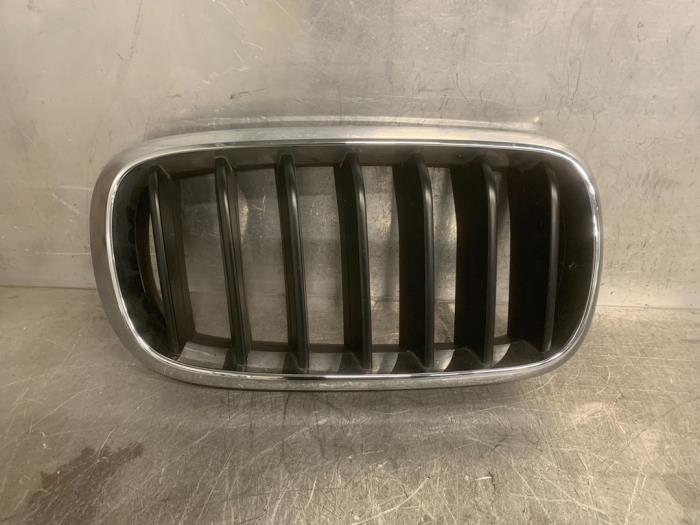 Używane Grill BMW X6 Cena € 30,00 Procedura marży oferowane przez Mettler BV