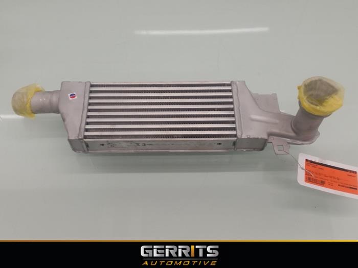 Usados Intercooler Opel Combo Tour (Corsa C) 1.3 CDTI 16V Precio € 52,80 Norma de margen ofrecido por Gerrits Automotive BV