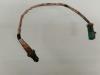Ford Focus 2 Wagon 1.6 Ti-VCT 16V Sonde lambda
