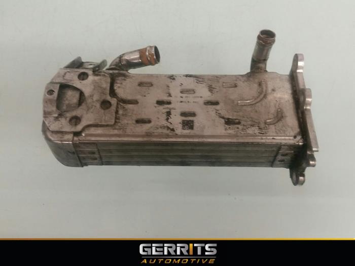 Usagé Refroidisseur RGE Mercedes Vito (639.6) 2.2 110 CDI 16V Euro 5 Prix € 99,80 Prix TTC proposé par Gerrits Automotive BV