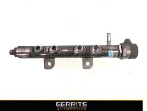 Used Fuel injector nozzle Landrover Range Rover IV (LG) 3.0 TDV6 24V Price € 146,79 Margin scheme offered by Gerrits Automotive