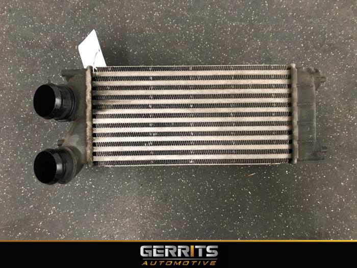 Usados Intercooler Citroen Berlingo 1.6 Hdi 75 Precio € 34,10 Norma de margen ofrecido por Gerrits Automotive BV