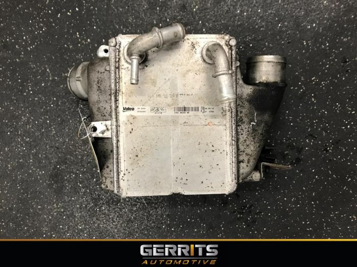 Used Intercooler Ford Focus 3 Wagon 1.6 TDCi ECOnetic Price € 99,00 Margin scheme offered by Gerrits Automotive BV