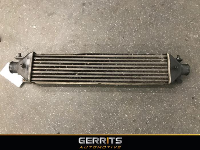 Usagé Intercooler Fiat Doblo Cargo (263) 1.3 D Multijet Prix € 99,80 Prix TTC proposé par Gerrits Automotive BV