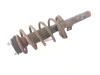 Ford Transit Connect 1.8 TDCi 75 Front shock absorber rod, right