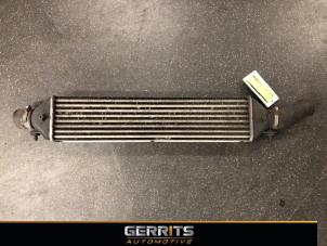 Used Intercooler Opel Combo 1.3 CDTI 16V Price € 99,80 Inclusive VAT offered by Gerrits Automotive