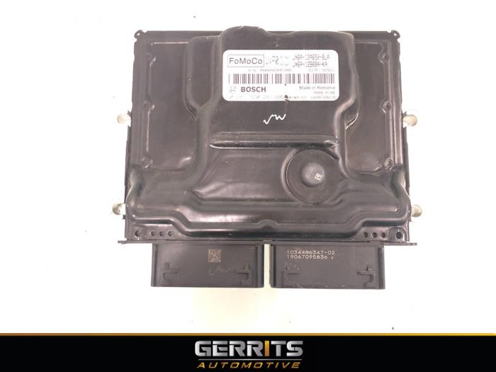 Used Engine management computer Ford Focus 4 1.0 Ti-VCT EcoBoost 12V 100 Price € 349,99 Margin scheme offered by Gerrits Automotive BV