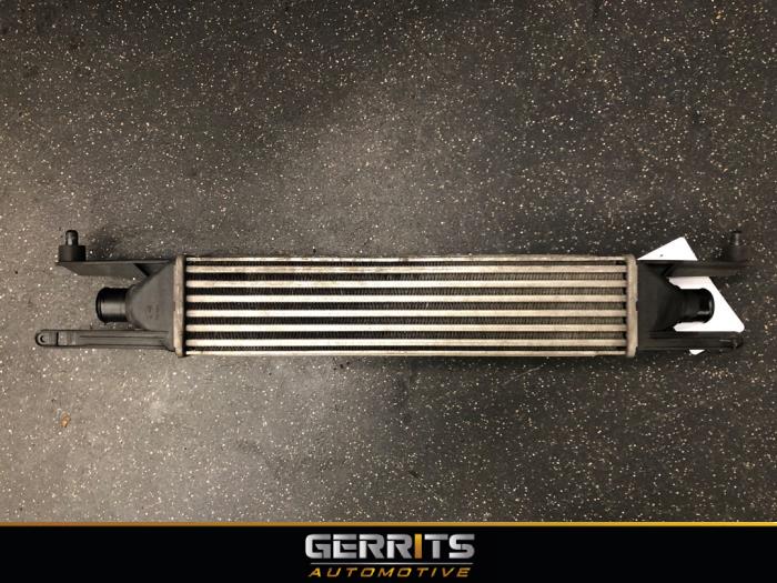 Usados Intercooler Fiat Grande Punto (199) 1.3 JTD Multijet 16V 85 Actual Precio € 34,99 Norma de margen ofrecido por Gerrits Automotive BV