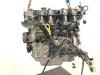 Engine from a Ford Fiesta 6 (JA8), 2008 / 2017 1.25 16V, Hatchback, Petrol, 1.242cc, 44kW (60pk), FWD, STJB, 2008-06 / 2017-04 2011