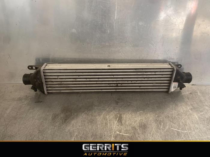 Usados Intercooler Opel Combo 1.3 CDTI 16V ecoFlex Precio € 49,99 Norma de margen ofrecido por Gerrits Automotive BV