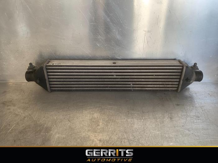 Used Intercooler Fiat Bravo (198A) 1.6 JTD Multijet 105 Price € 34,99 Margin scheme offered by Gerrits Automotive BV