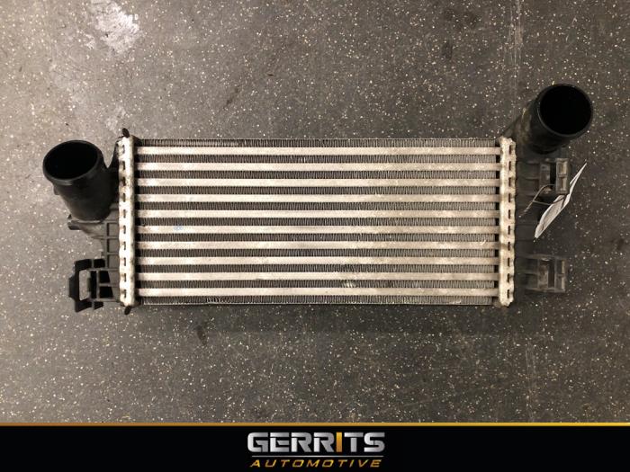 Used Intercooler Ford Focus 3 1.0 Ti-VCT EcoBoost 12V 125 Price € 69,99 Margin scheme offered by Gerrits Automotive BV