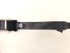 Rear seatbelt, left from a Ford Focus 3 1.0 Ti-VCT EcoBoost 12V 125 2015