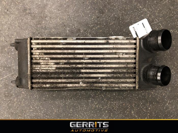Usados Intercooler Peugeot 5008 I (0A/0E) 1.6 THP 16V Precio € 49,99 Norma de margen ofrecido por Gerrits Automotive BV