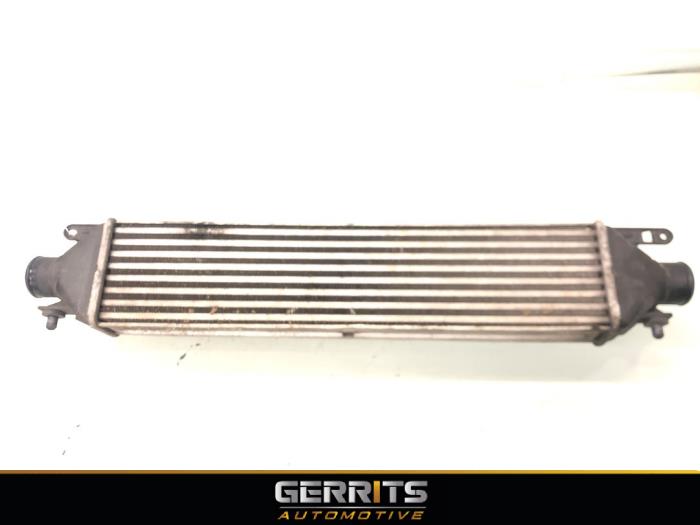 Usados Intercooler Opel Combo 1.3 CDTI 16V ecoFlex Precio € 99,80 IVA incluido ofrecido por Gerrits Automotive BV