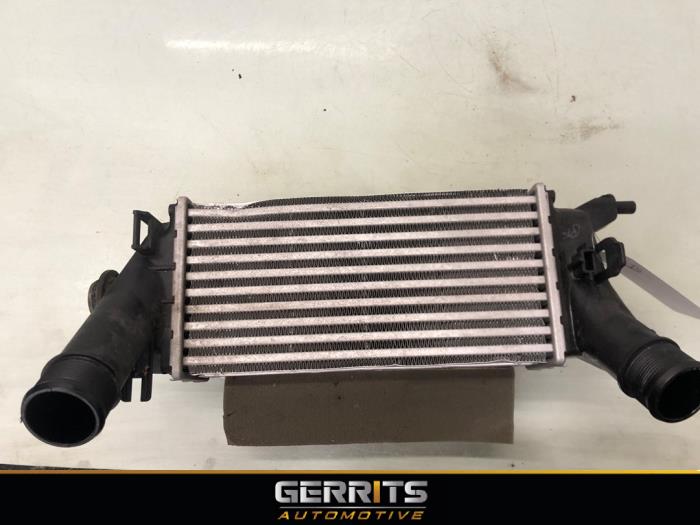 Usagé Intercooler Ford Fiesta 7 1.0 EcoBoost 12V 100 Prix € 69,99 Règlement à la marge proposé par Gerrits Automotive BV