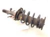 Ford Transit Connect (PJ2) 1.6 TDCi 16V 75 Stoßdämpferstrebe links vorne
