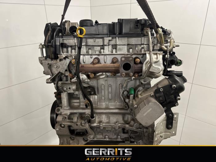 Usagé Moteur Ford Fiesta 7 1.5 TDCi 85 Prix € 2.999,99 Règlement à la marge proposé par Gerrits Automotive BV