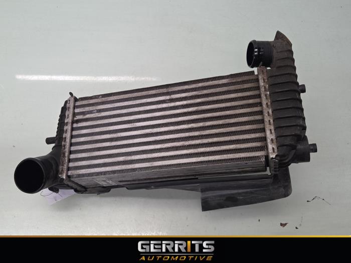 Usados Intercooler Ford Transit Connect (PJ2) 1.5 EcoBlue Precio € 60,49 IVA incluido ofrecido por Gerrits Automotive BV
