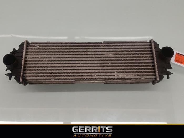 Usados Intercooler Opel Vivaro 1.9 DI Precio € 44,00 Norma de margen ofrecido por Gerrits Automotive BV