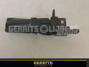 Used Tailgate lock stop Renault Vel Satis (BJ) 2.2 dCi 150 16V Price € 46,20 Margin scheme offered by Gerrits Automotive