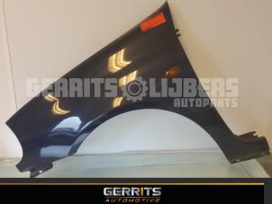Used Front wing, left Renault Clio II (BB/CB) 1.2 GPL Price € 21,98 Margin scheme offered by Gerrits Automotive