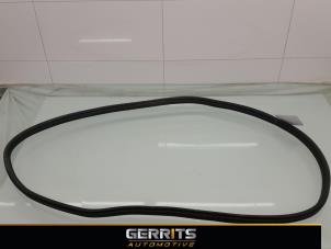 Used Rear door seal 4-door, left BMW 3 serie (F30) 320d 2.0 16V Efficient Dynamics Edition Price € 21,98 Margin scheme offered by Gerrits Automotive