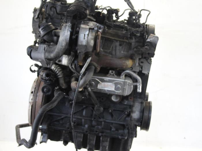 Engine Volkswagen Caddy III 1.6 TDI 16V CAYD CAYD