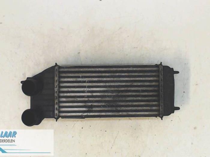 Usagé Intercooler Peugeot Expert (G9) 2.0 HDiF 16V 130 Prix € 150,00 Règlement à la marge proposé par Autodemontage van de Laar