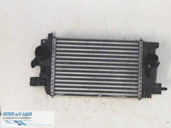 Usados Intercooler Opel Meriva (B) 1.4 Turbo 16V ecoFLEX Precio € 125,00 Norma de margen ofrecido por Autodemontage van de Laar