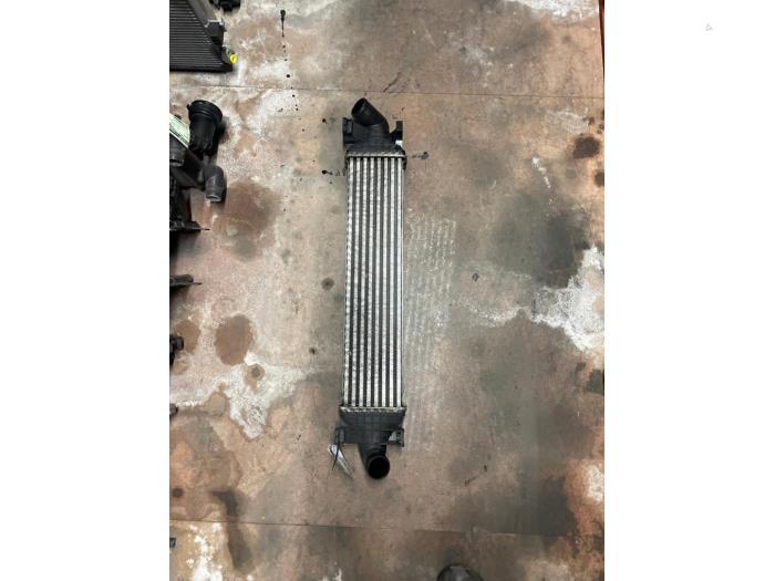 Usados Intercooler Ford Focus 2 Wagon 1.6 TDCi 16V 90 Precio € 90,00 Norma de margen ofrecido por Autodemontage van de Laar