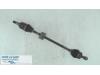 Front drive shaft, right from a Fiat Panda (169), 2003 / 2013 1.2 Fire, Hatchback, Petrol, 1 242cc, 44kW (60pk), FWD, 188A4000, 2003-09 / 2009-12, 169AXB1 2008