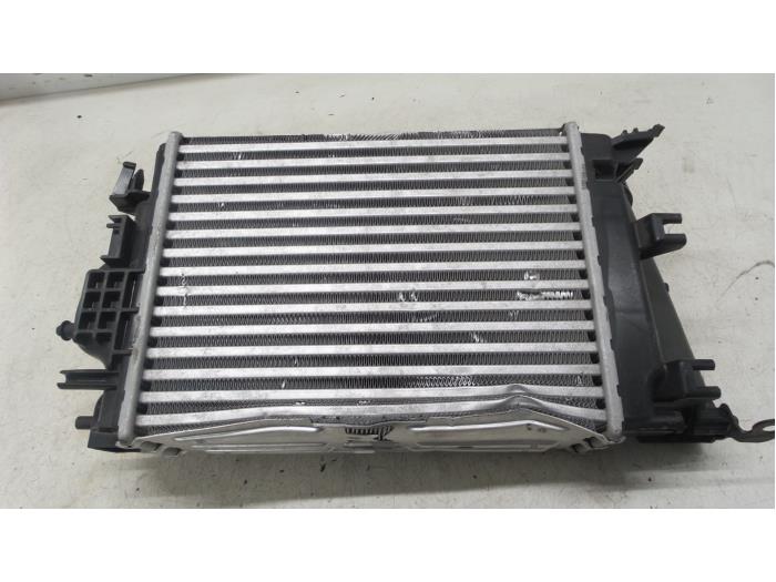 Usagé Intercooler Renault Espace (RFCJ) 1.8 Energy Tce 225 Prix sur demande proposé par Autodemontage van de Laar