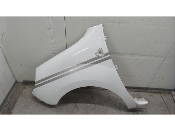Front wing, left from a Renault Kangoo Express (FW) 1.5 dCi 70 2011