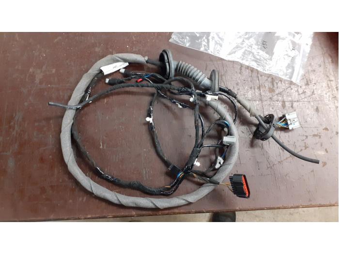 Mazo de cables de un Ford EcoSport (JK8)  2015