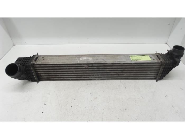 Used Intercooler Renault Scénic II (JM) 1.6 16V Price € 70,00 Margin scheme offered by Autodemontage van de Laar