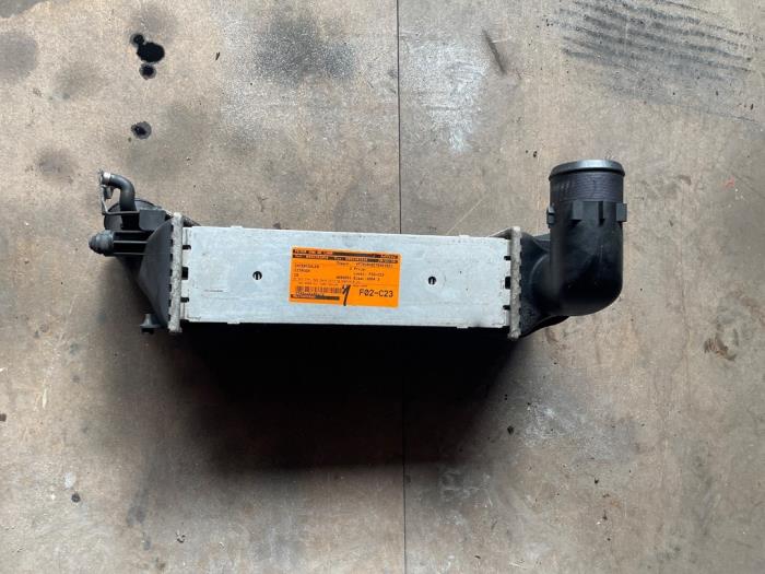 Usagé Intercooler Citroen C5 I Berline (DC) 2.0 HDi 110 Prix € 100,00 Règlement à la marge proposé par Autodemontage van de Laar