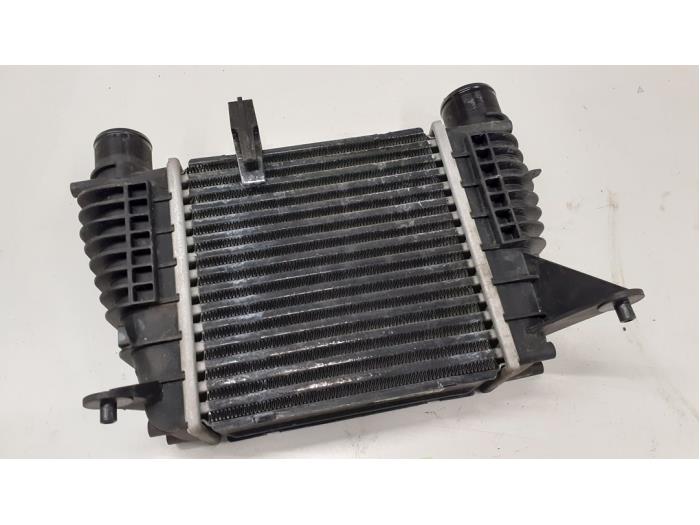 Usados Intercooler Renault Modus/Grand Modus (JP) 1.5 dCi 80 Precio € 50,00 Norma de margen ofrecido por Autodemontage van de Laar