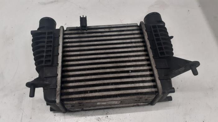 Usagé Intercooler Renault Clio III (BR/CR) 1.2 16V TCe 100 Prix € 40,00 Règlement à la marge proposé par Autodemontage van de Laar