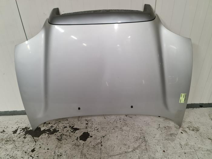 Gebrauchte Motorhaube Hyundai Santa Fe I 2.0 16V 4x2 Preis € 125,00 Margenregelung angeboten von Autodemontage van de Laar