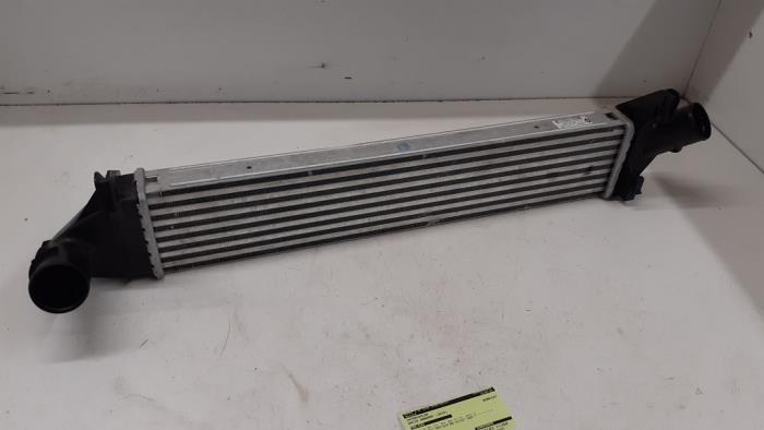 Usagé Intercooler Dacia Sandero I (BS) 1.5 dCi 70 Prix € 100,00 Règlement à la marge proposé par Autodemontage van de Laar
