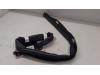 Ford B-Max Roof curtain airbag