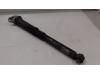 Rear shock absorber, right from a Volkswagen Golf VII (AUA), 2012 / 2021 1.4 TSI 16V, Hatchback, Petrol, 1.395cc, 103kW (140pk), FWD, CPTA; CHPA, 2012-08 / 2017-07 2013