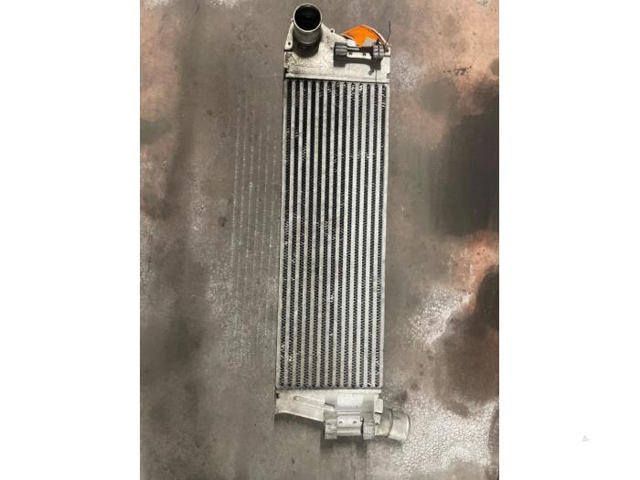 Usados Intercooler Renault Grand Scénic II (JM) 1.9 dCi 120 Precio € 90,00 Norma de margen ofrecido por Autodemontage van de Laar
