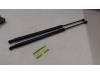 Set of tailgate gas struts from a Honda CR-V (RE), 2006 2.0 16V, SUV, Petrol, 1.998cc, 110kW (150pk), 4x4, R20A2, 2007-01 / 2012-06, RE2; RE5 2008