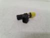 Injecteur (injection essence) d'un Renault Twingo II (CN) 1.2 16V 2013