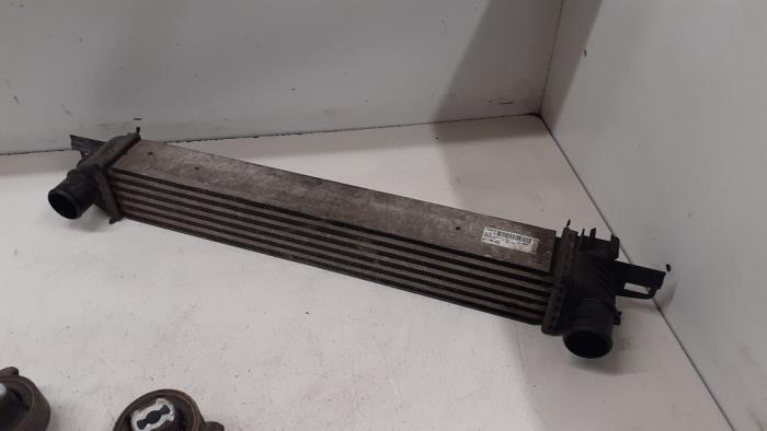 Usagé Echangeur air (Intercooler) Peugeot Bipper (AA) 1.4 HDi Prix € 70,00 Règlement à la marge proposé par Autodemontage van de Laar