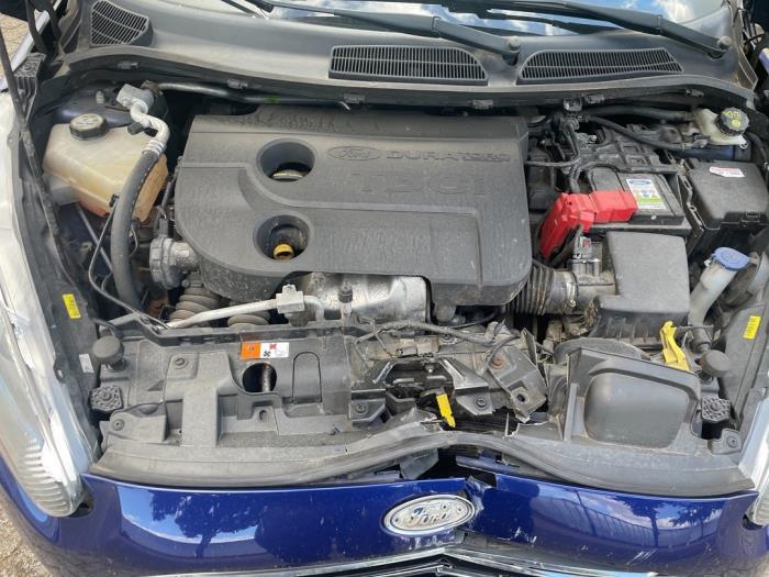 Motor van een Ford Fiesta 6 (JA8) 1.6 TDCi 16V ECOnetic 2013